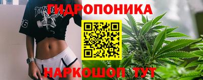 индика Малоярославец