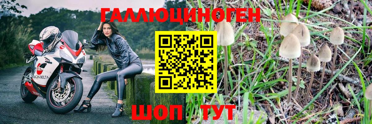 Галлюциногенные грибы ЛСД  Вход с VPN  Тамбов 